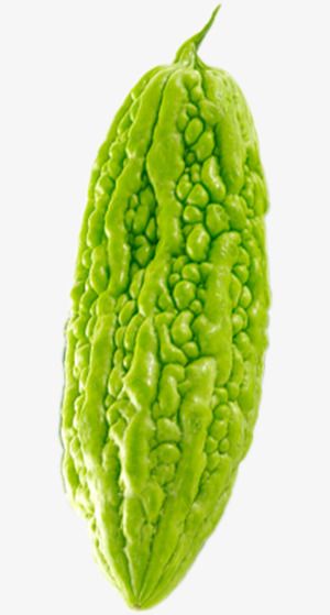 Bitter Foods, Color Worksheets For Preschool, Bitters Recipe, Vegetables Photography, Shark Drawing, Bitter Melon, Bitter Gourd, Food Png, Concept Photography