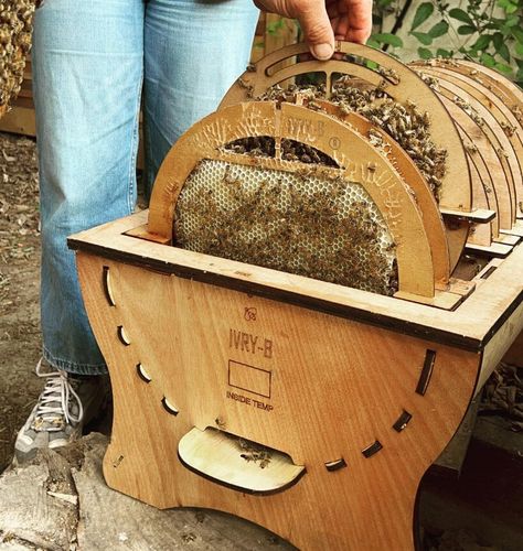 Honey Extractor, Beehive Design, Concrete Interiors, Wooden Barrel, Red Dot Design, Parquet Flooring, Living Environment, London Design, Natural Forms