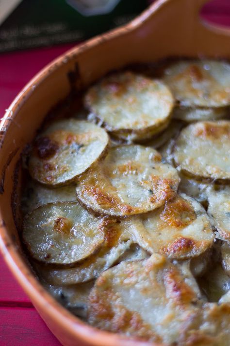 This Scalloped potatoes with blue cheese is a nice spin on the traditional scalloped potatoes. The perfect Side dish for any dinner. Potatoes au gratin. #bluecheesrecipes #scallopedpotatoes #sidedish #dinnerrecipe Baked Scalloped Potatoes, Cheese Scalloped Potatoes, New Recipes For Dinner, Orange Baking, Potatoes Au Gratin, Side Dishes For Bbq, Delicious Appetizer Recipes, Cheese Potatoes, Dinner Entrees