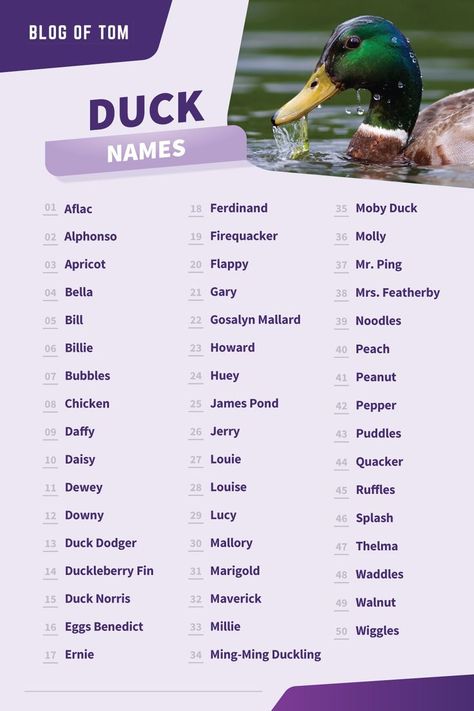 Duck Names Duck Coop Names, Cute Names For Ducks, Duck Names Ideas, Names For Frogs, Bird Names Ideas, Pet Bird Names, Funny Duck Names, Cute Chicken Names, Names For Pets