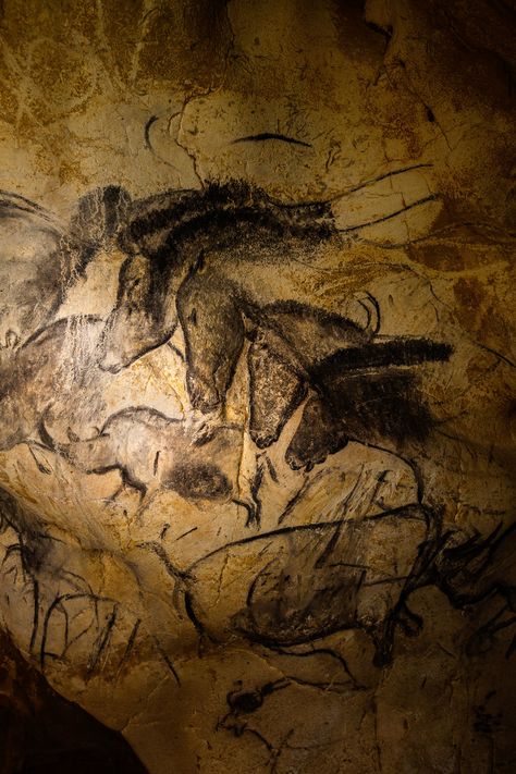 Prehistoric Painting, Chauvet Cave, Paleolithic Art, Prehistoric Cave Paintings, Stone Age Art, Ancient Drawings, Cave Drawings, Cave Art, Prehistoric Art