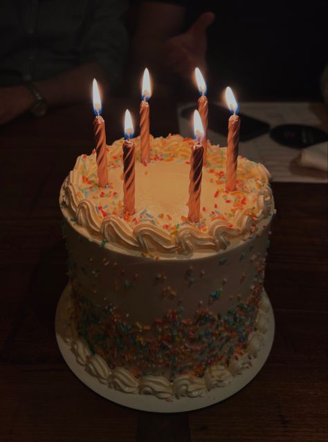 Funfetti Birthday Cake, Birthday Cake Candles, 18th Cake, 17th Birthday Ideas, Happy 17th Birthday, Birthday Places, Birthday Cake With Candles, Pretty Birthday Cakes, 17th Birthday