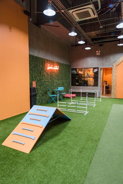 This indoor dog park is the perfect date for you and your dog - NOLISOLI Indoor Dog Training Room, Dog Training Facility Decor, Dog Daycare Event Ideas, Dog Gym Ideas, Indoor Dog Park Design, Dog Play Area Indoor Ideas, Dog Training Facility Layout, Dog Spa Ideas, Indoor Dog Run