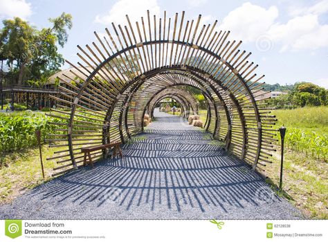 Bamboo Tunnel In The Garden. Stock Photo - Image: 39117531 Bamboo Tunnel, Bamboo Building, Urban Garden Design, Bamboo Structure, Resort Architecture, Bamboo Architecture, Bamboo Decor, Entrance Gates Design, Desain Lanskap