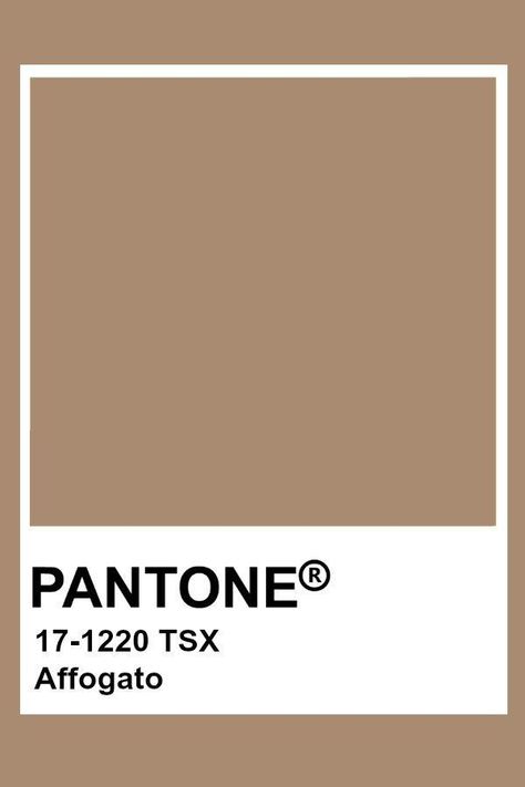 Pantone Beige Shades, Light Brown Pantone, Pantone Colors Brown, Pantone Brown Shades, Pantone Brown, Pantone Shades, Beige Pantone, Pantone Aesthetic, Brown Pantone