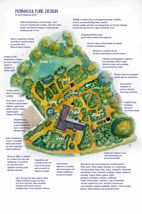 Our Permaculture Design and Demonstration Site. Food Forest Garden, Permaculture Garden, Farm Layout, Permaculture Gardening, Permaculture Design, Aquaponics System, Food Forest, Farm Design, Forest Garden