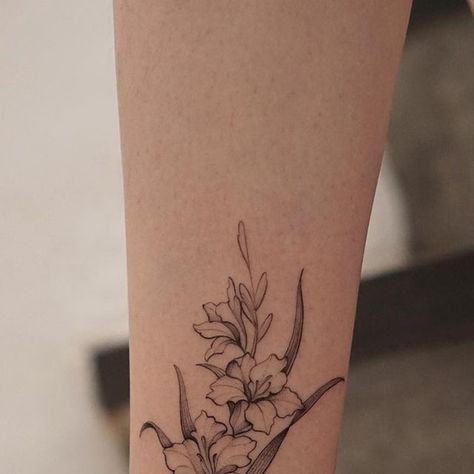 con ele on Instagram: "Simple gladiolus(aka Sword lily) for Li Lian’s first tattoo. It’s her birth month flower and sounded similar to her name. Thanks for the trust! #tattoo #gladiolus #flowertattoo #floral #finelinetattoo #linework #minimalism #minimalist #design #designer #customdesign #customtattoo #conlll #theconetree #simplicity #blackwork #blxckink #inked #ink #illustration #dotwork #tttism #equilattera #darkartists #blacktattooart #tattooidea #malaysiatattoo #tattrx #blacktattoo" Gladiolus Tattoo Line Art, Trust Tattoo, Gladiolus Tattoo, Birth Month Flower, Ink Illustration, Month Flowers, Birth Month Flowers, Fine Line Tattoos, Custom Tattoo