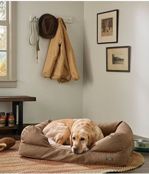 Outdoor Accessories | Outdoor Equipment at L.L.Bean Dog Bed Couch, Denim Dog Bed, Couch Beds, Dog Couch Bed, Couch Styling, Dog Couch, Denim Dog, Bed Couch, Vintage Indigo