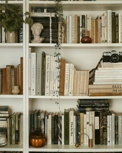 full bookshelves with plants, small decor items Pink Bookshelves, Bookshelf Inspo, Bookshelf Aesthetic, Unique Bookshelves, Bookshelf Inspiration, Room Bookshelf, White Bookshelves, Bookshelf Styling, Bookshelf Decor