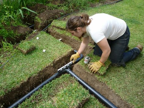 Why Has Agriculture Been So Slow to Embrace the Use of Grey Water? - Modern Farmer Grey Water Recycling, Rain Barrel System, Grey Water System, Water From Air, Rainwater Harvesting, Rain Water Collection, Off Grid Living, Sustainable Lifestyle, Water Systems