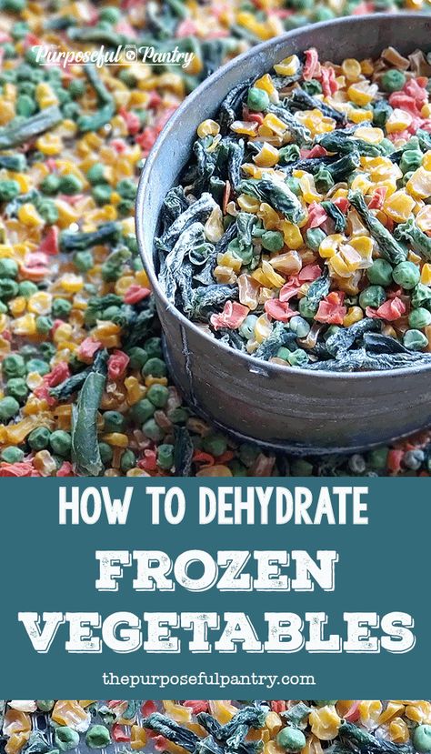 Dehydrating Canned Vegetables, Dehydrating For Beginners, Food Dehydrator Recipes Veggies, How To Dehydrate Vegetables, Dehydrating Frozen Vegetables, Dehydrating Garlic In Dehydrator, Dehydrating Frozen Fruit, Canning Frozen Vegetables, What To Dehydrate