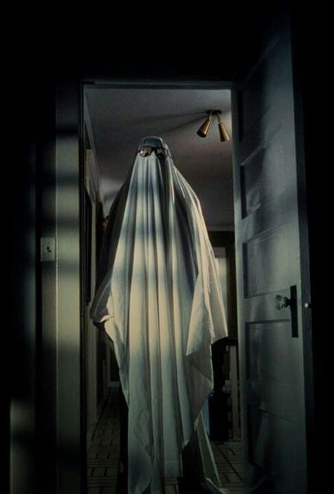 Michael Meyers from Halloween Movie "Don't I get your ghost Bob?" Halloween Franchise, John Carpenter Halloween, Halloween 1978, Halloween Film, The Creeper, Hallowen Costume, Slasher Movies, The Boogeyman, Best Horror Movies