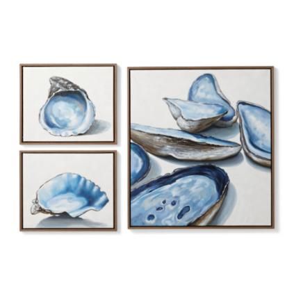 Oyster Handpainted Oil on Canvas | Frontgate Coastal Aesthetic, Coastal Colors, Copper Art, Oyster Shells, Outdoor Wall Art, Shop Wall Art, Mirror Wall Art, Plant Illustration, Canvas Set