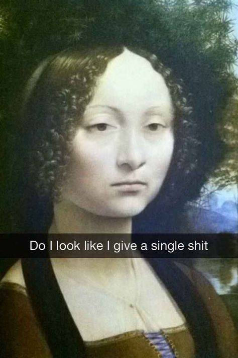 Hell to the NO Leonardo da Vinci was the best at capturing Resting Bitch Face . | 16 More Hilariously Inappropriate Art History Snapchats Funniest Snapchats, Beautiful Scotland, Classical Art Memes, Humor Mexicano, History Humor, Clipuri Video, Art Memes, Classical Art, E Card