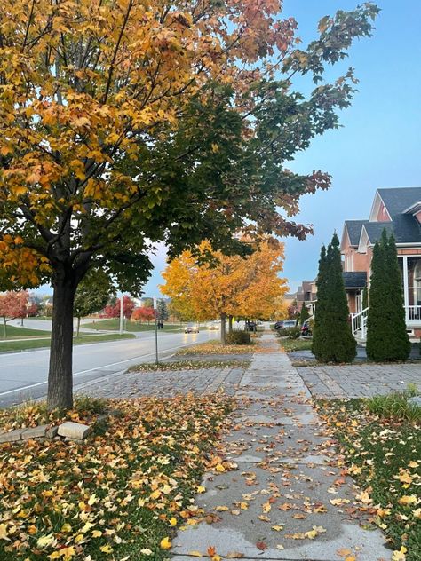 Suburbs Aesthetic, American Suburbs, Neighborhood Aesthetic, Autumn Ambience, Fall Foilage, Spooky Halloween Pictures, Usa House, Home Styles Exterior, Pretty Landscapes