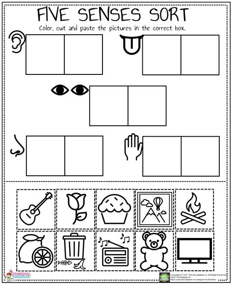 Number 4 Find And Color Worksheet – Preschoolplanet 5 Senses Craft, 5 Senses Preschool, 5 Senses Worksheet, Five Senses Worksheet, Five Senses Preschool, 5 Senses Activities, Senses Preschool, Body Parts Preschool, Senses Activities