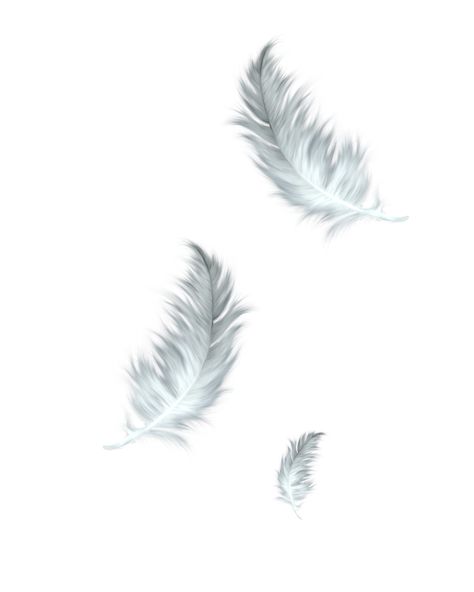 #feather #feathers #angel #aesthetic #freetoedit Falling Feather Tattoo, White Feather Tattoos, Feather Tattoo Wrist, Small Feather Tattoo, Feather Tattoo Meaning, Sun Tattoo Small, Thistle Tattoo, Feather Stickers, Feather Drawing