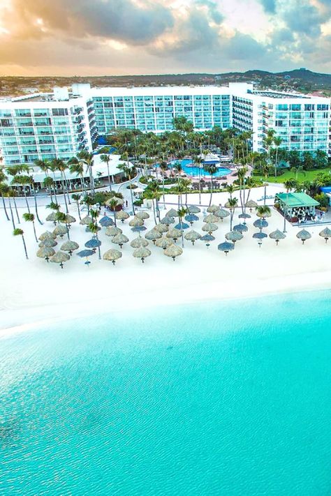 Stunning Beachfront Hotels In Aruba Palm Beach Aruba, Aruba Hotels, Beachfront Hotels, Island Destinations, The Palms, Tropical Getaways, Beachfront Property, Tropical Island, Caribbean Sea