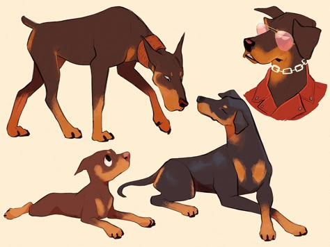 Doberman Drawing, Dog Reference, Dog Design Art, Canine Drawing, Dog Animation, Cat Hacks, Canine Art, Mythical Creatures Art, Animals Artwork