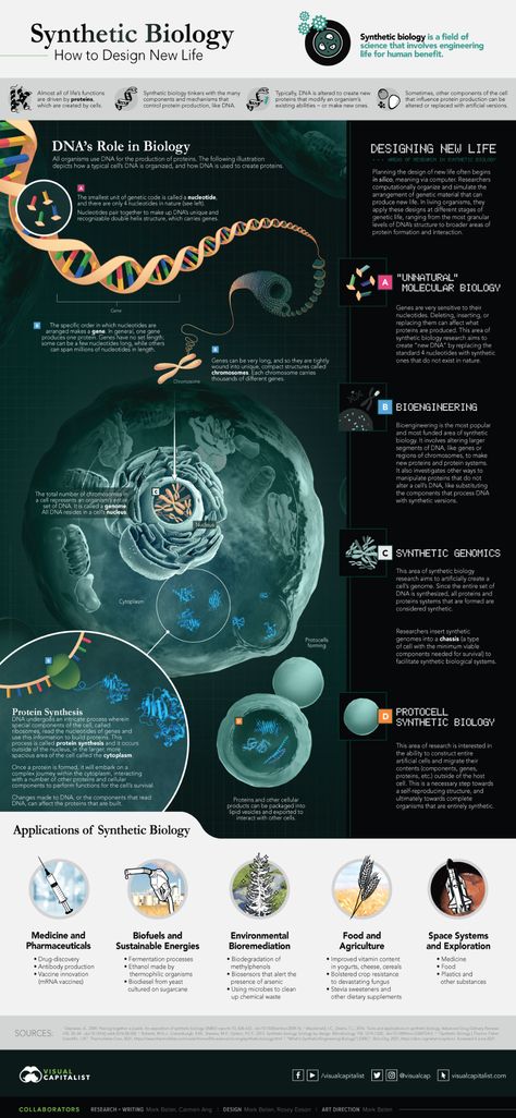 Science Pubmat, Infographic Biology, Cell Infographic, Biochemistry Infographic, Scientific Magazine, Scientific Poster Design, Synthetic Biology, Biology Poster, Science Infographics