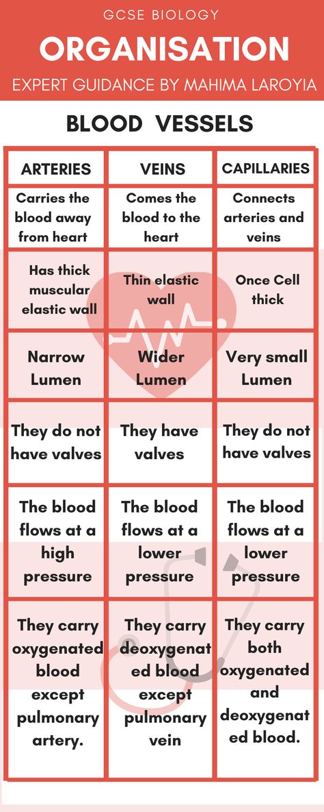 Organisation AQA GCSE Biology Paper - 1 Complete Revision Summary Covering the topics of  Organisation hierarchy  Human Digestive System  Circulatory System  Heart and the blood vessels  Blood  Coronary Heart Disease  Non Communicable Disease  Respiratory System  Plant Tissues  Plant Organ System  Transpiration Circulatory System Notes, Circulatory System Projects, Circulatory System For Kids, Circulatory System Activities, Human Circulatory System, Gcse Biology, Medical Assistant Student, Learn Biology, Nursing School Motivation