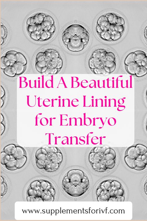 Are you doing an IVF transfer? Advice on how to build your best uterine lining to prepare for embryo transfer! Failed Embryo Transfer, Uterine Lining Thickening, Ivf Transfer Diet, Frozen Embryo Transfer Diet, Embryo Transfer Diet, Fertility Massage Self, Fet Transfer, Embryo Transfer Day, Fertility Massage