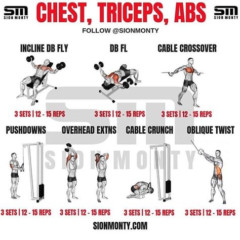 Chest And Tricep Workout, Tricep Workout, Gain Muscle Mass, Gym Buddy, Gym Tips, Resistance Workout, Chest Workouts, Triceps Workout, Biceps Workout