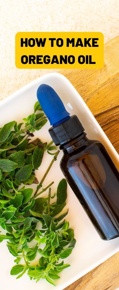 Make Oregano Oil, Herbalist Recipes, Oregano Recipes, Oregano Oil Benefits, Oregano Plant, Diy Herbal Remedies, Oregano Essential Oil, Making Essential Oils, Medicinal Herb