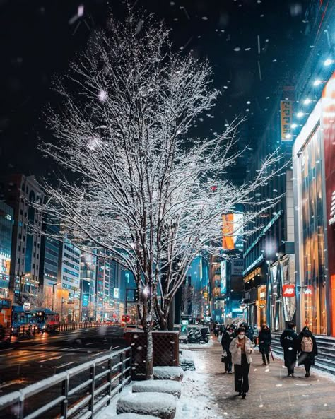 Seoul, south korea landscape Snow In South Korea, Seoul Snow Aesthetic, Winter In Seoul South Korea, Seoul Winter Wallpaper, Korea Snow Aesthetic, Seoul Winter Aesthetic, Korea Winter Aesthetic, South Korea Snow, Winter In Korea Aesthetic