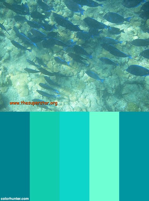 Key_west189 Color Scheme from colorhunter.com Key West Paint Colors, Key West Colors, Key West Decor, Caribbean Colors, Key West House, Beach House Colors, Key West Style, Patina Green, Nautical Colors