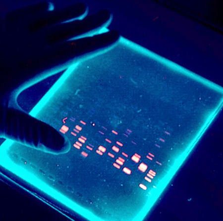 DNA Gel Electrophoresis Medical Laboratory Science Art, Science Asethic, Genetic Engineering Aesthetic, Science Laboratory Aesthetic, Bioengineering Aesthetic, Medical Laboratory Aesthetic, Biomedical Science Aesthetic, Biomedical Engineering Aesthetic, Dna Laboratory