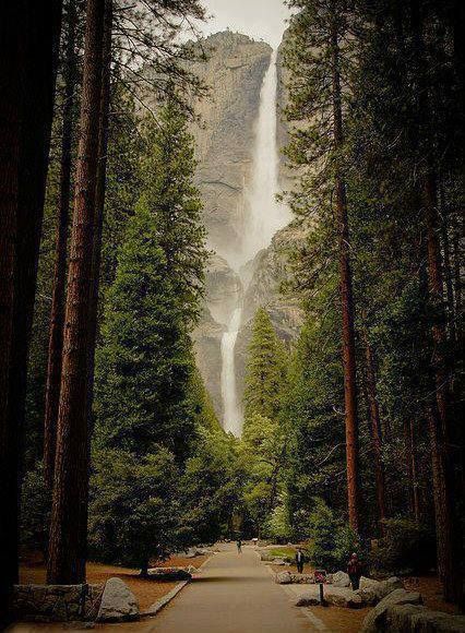 Yosemite Falls, Air Terjun, Les Cascades, Tall Trees, Destination Voyage, Beautiful Waterfalls, Alam Yang Indah, Yosemite National, Yosemite National Park