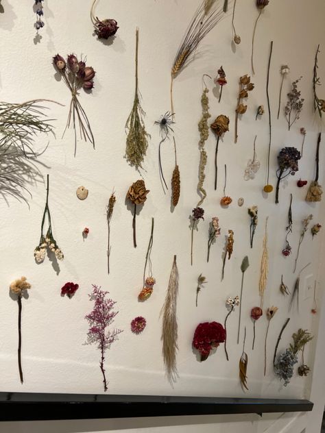 dried flowers wall aesthetic decorations Flower Wall Aesthetic, Dead Flowers On Wall, Dried Flower Above Bed, Dried Flowers Taped To Wall, Dried Flower Installation On Wall, Hanging Dried Flowers Aesthetic, Dried Bouquet Wall Decor, Dried Flowers Wall, Dead Flowers