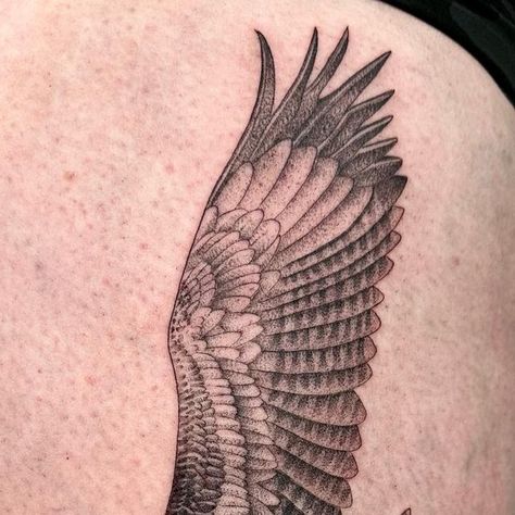 Wedge Tailed Eagle Tattoo, Stippling Tattoo, Wedge Tailed Eagle, Melbourne Tattoo, Eagle Tattoo, Birds Tattoo, Fine Line Tattoos, Stippling, October 10