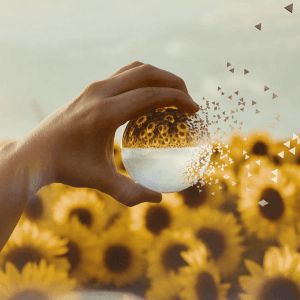 7 Crystal Ball Photography Ideas & Lensball Tips | Gridfiti Crystal Ball Photography, Fairy Light Photography, Ball Photography, Cool Photo Effects, Crystal Photography, Mirror Photography, A Level Photography, Sunflowers And Daisies, Glass Photography