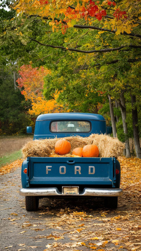 A blue Ford pickup truck with pumpkins and hay bales in the back, parked on a fall foliage-lined road. Vintage Truck With Pumpkins, Fall In The Country Aesthetic, Vintage Farm Truck, Fall Foliage Aesthetic, Old Truck Fall Photoshoot, Country Fall Aesthetic, Fall Pumpkin Aesthetic, Farm Thanksgiving, Fall In The Country