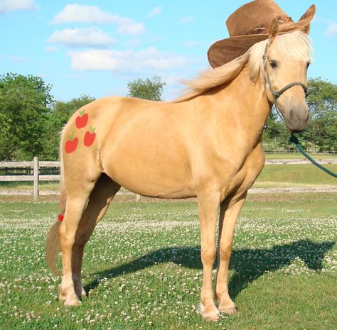 Real Life Applejack Horse Halloween Costumes, Baby Pony, Apple Jack, Horse Costumes, Pony Unicorn, Pony Party, Princess Celestia, Mlp My Little Pony, Cute Horses