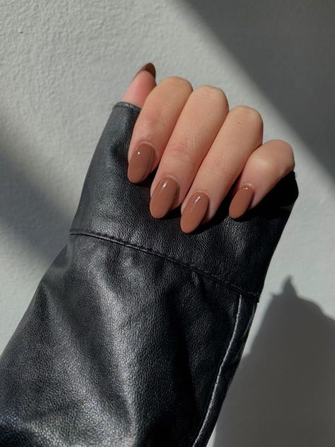 Brown Nail Ideas Brown Girls Nails, Neutral Brown Nails Short, Spring Brown Nails, Chocolate Brown Gel Nails Short, Simple Dip Powder Nails Almond, Formal Elegant Nails, Short Nail Designs Minimal Almond, Brown Round Acrylic Nails, Gel Nails Ideas Brown