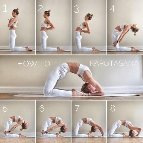 Alo Yoga Goals on Instagram: ““How to: Kapotasana 🙏 This pose has always been my personal nemesis. So hard to back bend for me as my back isn’t naturally flexible at…” Yoga Foto's, Yoga Progress, Yoga Ashtanga, Yoga Goals, Yoga Poses Advanced, Yoga Beginners, Dancer Workout, Partner Yoga, Easy Yoga Poses