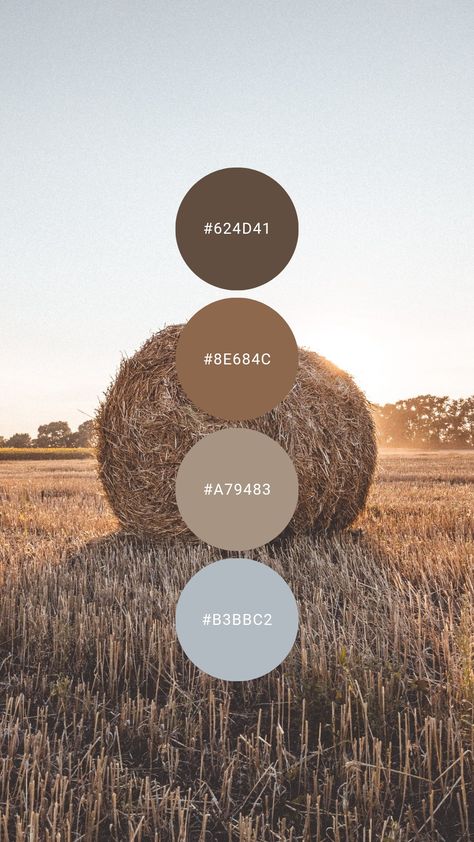 Harveast season isn't just about pumpkins, wheat oat, and barley feel just as cozy. Try it in the kitchen, dining room, living / family room, bathroom, or home office. #colourpalette #colorpalette #colour #color #palette #brown #oat #beige #lightbrown #wheat #barley Texas Color Palette, Colouring Palette, Color Palette Brown, Colors Combinations, Color Design Inspiration, Senior Style, Interior Colors, Hex Color Palette, Mixing Colors