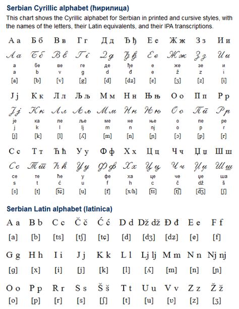 Serbian (српски / srpski) is a South Slavic language spoken mainly in Serbia, Bosnia and Herzegovina, Montenegro, Croatia, and Macedonia by about 9-10 million people. It is official in Serbia, and is the principal language of the Serbs. (...) Cirilica Slova Srpska, Serbian Alphabet, Language Tree, Serbian Culture, Croatian Language, Serbian Language, Ukrainian Language, Cherry Blossoms Illustration, Language Families