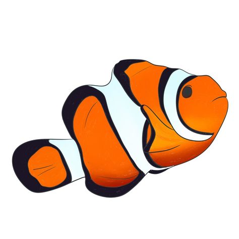 Clown fish / Amphiprion percula Clownfish communicate by making popping and clicking noises, all baby clownfishes are male, we don’t actually know how they survive the anemone’s poison (but there are some really good theories!) clownfish stickers have just been added to the shop xo #undertheseafacts #neurodivergentartist #smallbusinesssupport #digitalartist #procreateart #clownfish #madeinaustralia Clown Fish Cartoon, Clownfish, Fish Drawings, Art Competitions, Clown Fish, Fishing T Shirts, Anemone, Under The Sea, Digital Artist