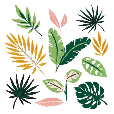 Tropical Flowers Illustration, Famous Drawing, Tropical Leaves Illustration, Custom Portrait Illustration, Plant Art Print, Leaves Illustration, Leaf Illustration, Plant Vector, Tropical Leaf Print