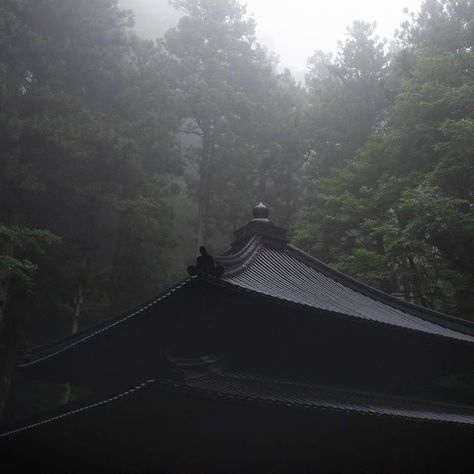 Dark Naturalism, Japanese Forest, Japanese Temple, Dark Paradise, Japan Aesthetic, Aesthetic Japan, Japanese Aesthetic, Dark Photography, Night Aesthetic