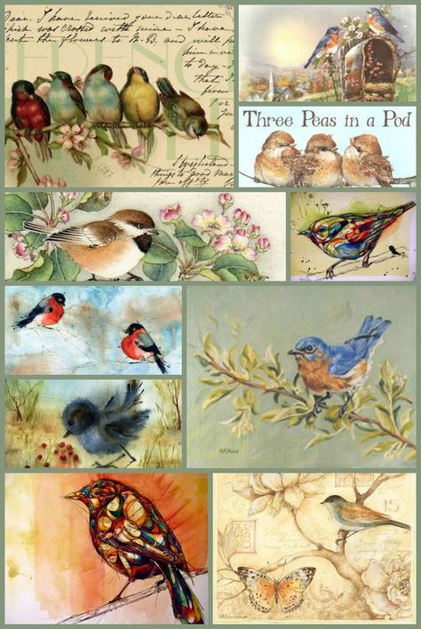 Bird Ephemera, Bird Printables, Bird Collage, Decoupage Paper Printable, Free Paper Printables, Etiquette Vintage, Printable Collage Sheet, Free Vintage Printables, Free Printable Art