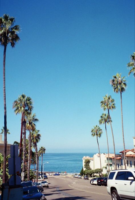 Beach, film, palm trees, California San Diego Astethic, 444 Manifestation, San Diego Aesthetic, San Diego Summer, San Diego Coronado, Los Angeles Wallpaper, San Diego Homes, Amalfi Coast Positano, Miss California