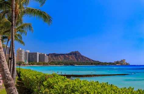 The History of Iconic Diamond Head 4 Diamond Head Hawaii, Kailua Beach, Visit Hawaii, Diamond Head, Black Sand Beach, Pearl Harbor, Hawaii Vacation, Vacation Packages, Oahu Hawaii