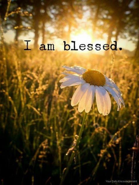 Motivation Positive, Thinking Quotes, Life Thoughts, I Am Blessed, Ideas Quotes, Spiritual Inspiration, Faith Quotes, Great Quotes, The Words