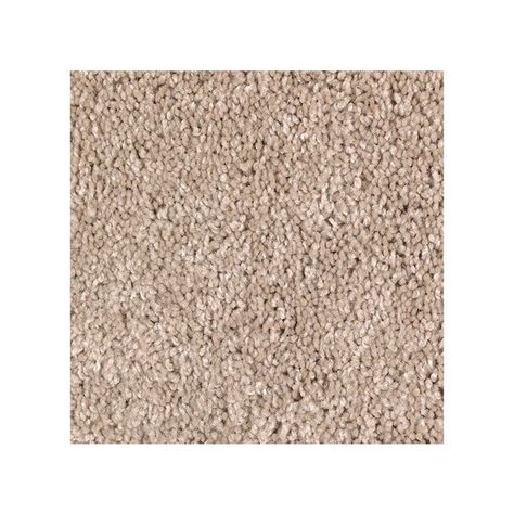 The Best Carpet for Pets of 2022 - Top Picks by Bob Vila Best Carpet For Pets, Textured Carpet, Bob Vila, Shaw Floors, Hallway Carpet, Beige Carpet, Types Of Carpet, Pet Odors, Wall Carpet