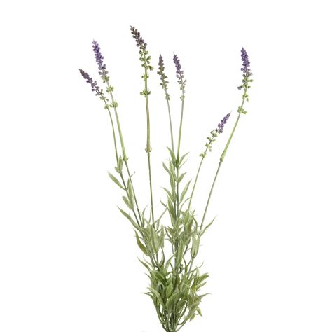 D and W Silks Artificial 18 in. Lavender Bundle - Set of 3 Lavender Bundle, Artificial Floral Arrangements, Silk Tree, Hydrangea Not Blooming, Artificial Orchids, Floor Plants, Artificial Hydrangeas, Silk Plants, Lavender Floral